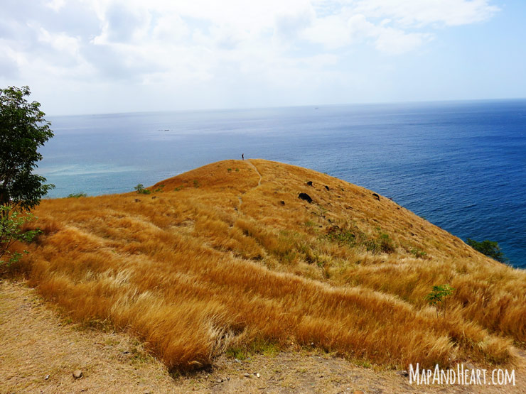 Viewpoint in Martinique