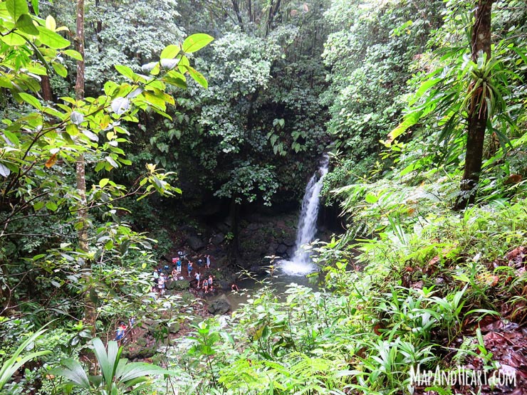 Emerald Pool, Dominica